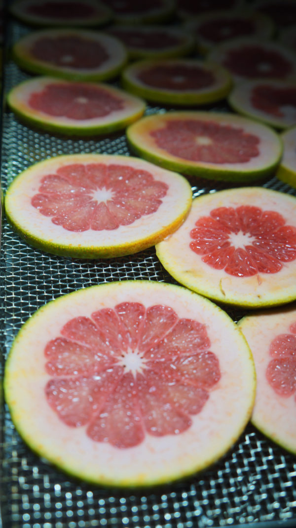 Grapefruit before dehydration