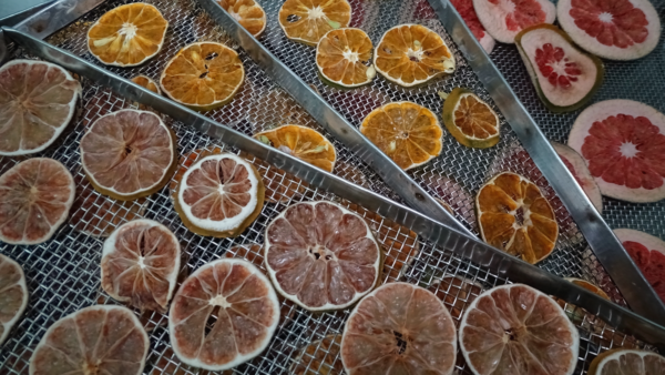 Fruit slices after dehidration